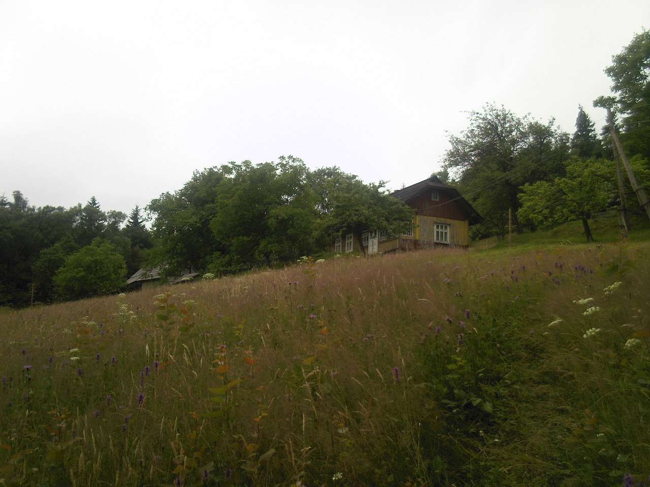 Природа - Рунгури