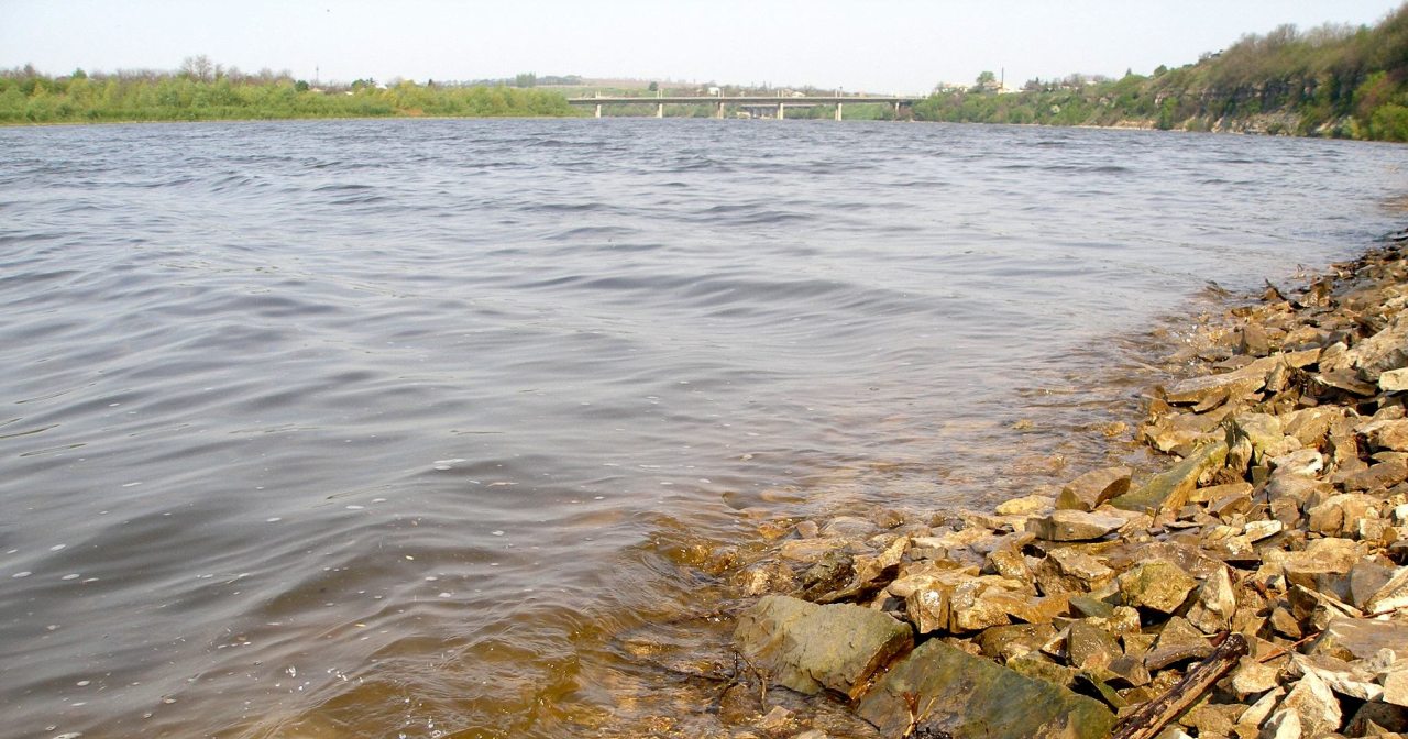 Жванець - Жванець