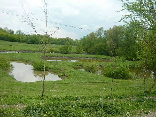 Найкращий куточок на землі - Токи