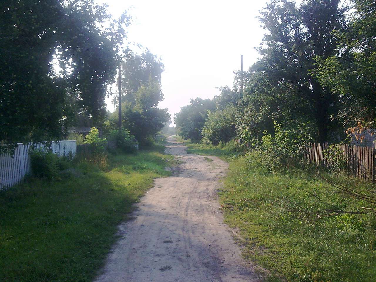 Природа Климентіївки - Климентіївка