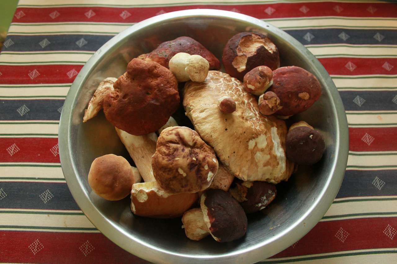 Природа - Рунгури