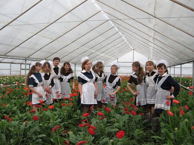 d - Руновщина