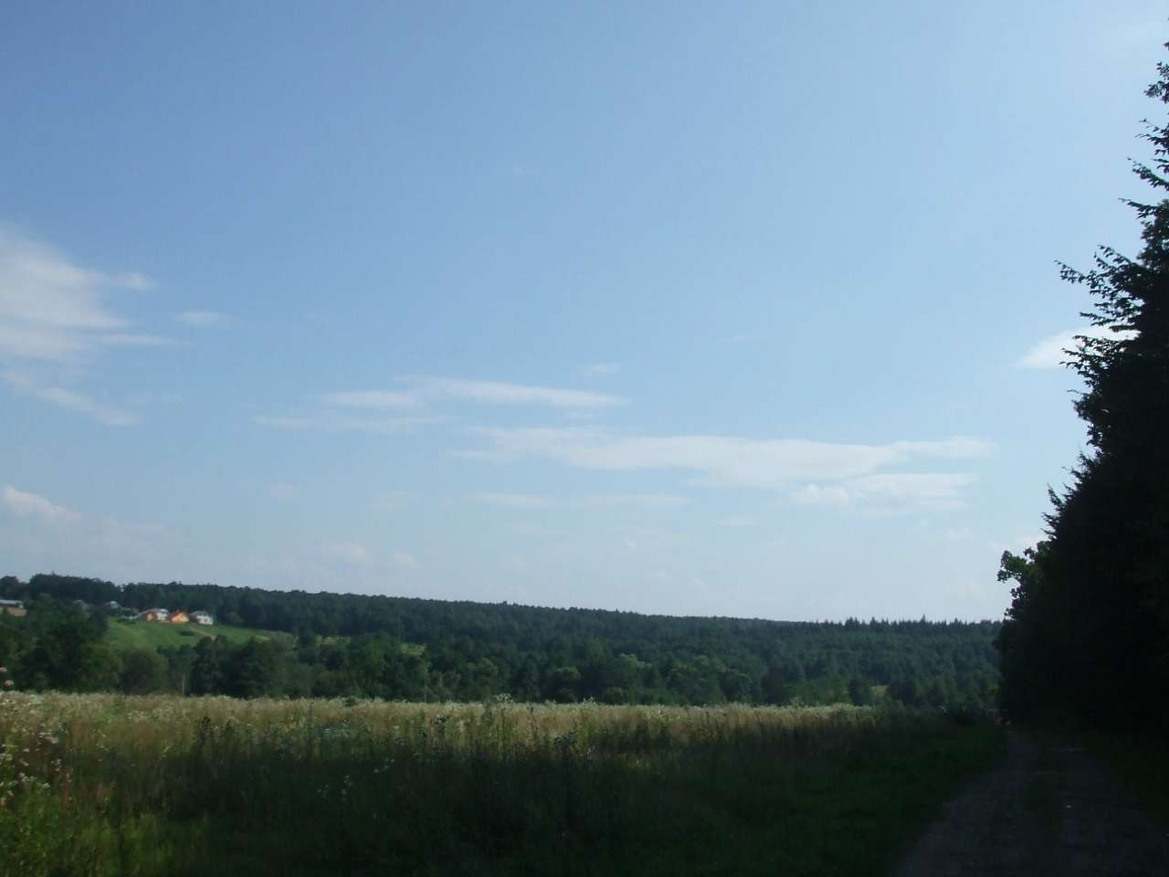 краєвид - Lysovychi