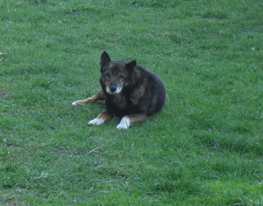 родительский дом - Згорани