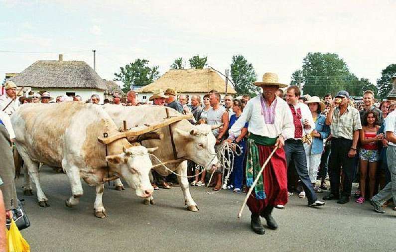 Сорочинський Ярмарок 2008 - Великі Сорочинці