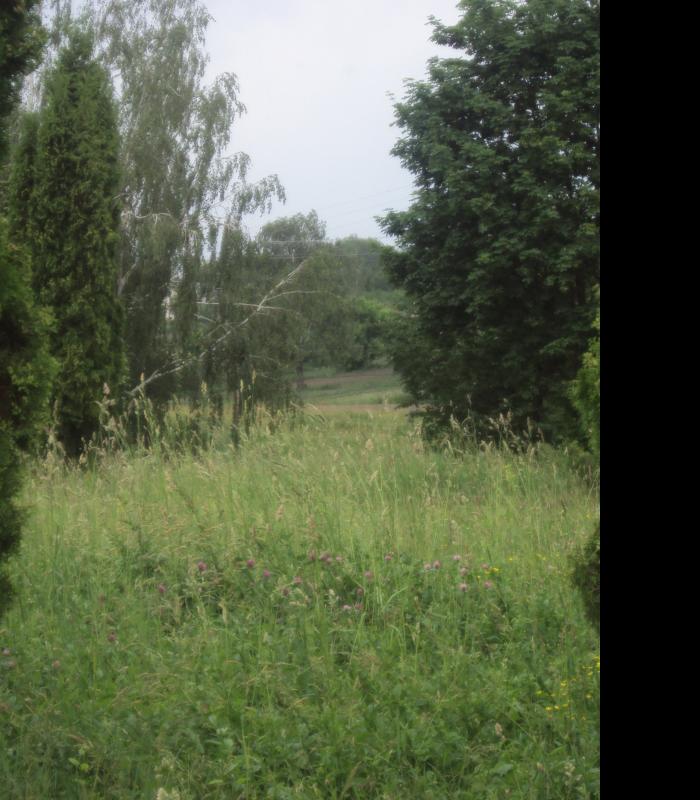 Озеряни - Озеряни