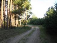 Польське село в Поліссі