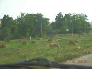 Сільські будні!!!!