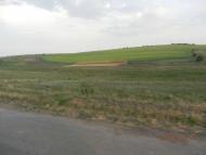 Сільські будні!!!!