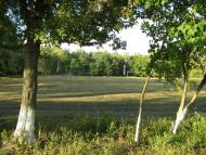 Chapayeve - Latest photos