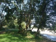 Річка Сукіль