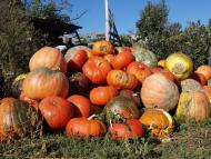 Мій рідний край, моє дитинство!....