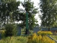 Польське село в Поліссі