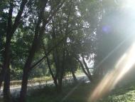 Річка Сукіль