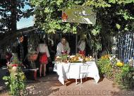  День Незалежності в Новоукраїнці