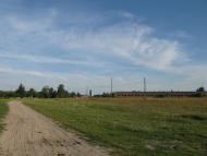 Польське село в Поліссі