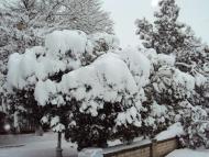 Сільські будні!!!!