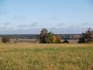 Мій рідний край, моє дитинство!....
