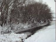 Сільські будні!!!!