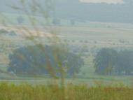 Сільські будні!!!!