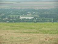 Сільські будні!!!!