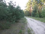 Польське село в Поліссі