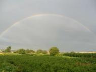 Сільські будні!!!!