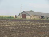 Сільські будні!!!!