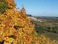 Мій рідний край, моє дитинство!....