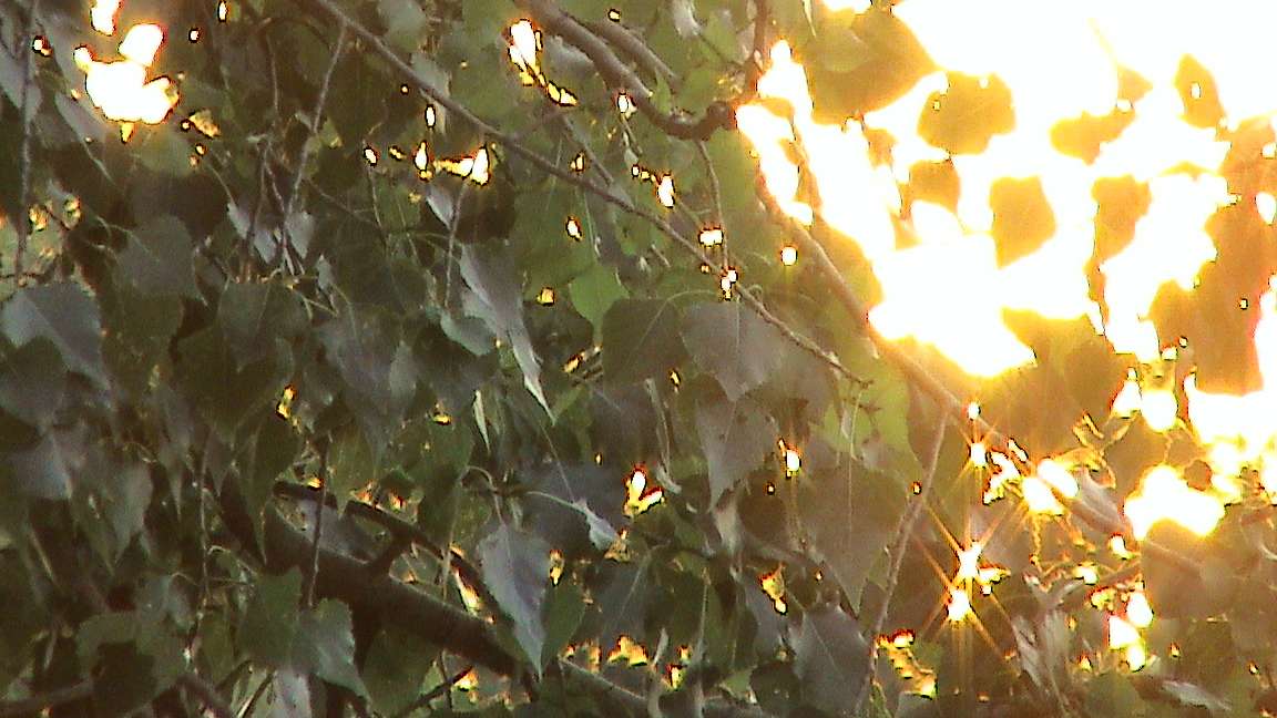 куземівка - Куземівка