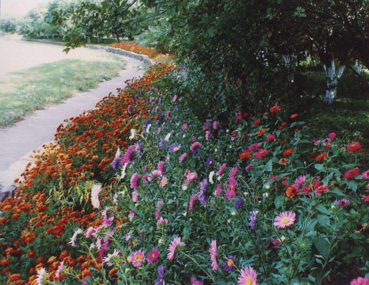 Саверці - Саверцы