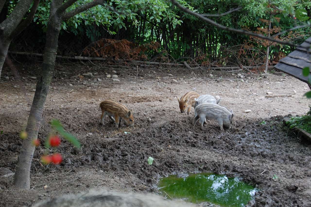 туристичні об'єкти, місця відпочинку Лукавців - Лукавці