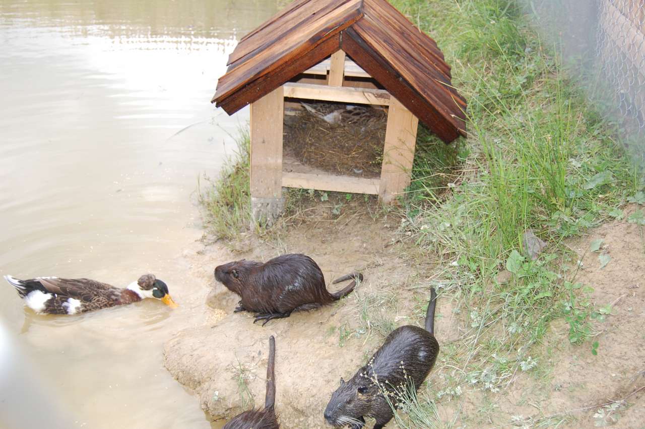 туристичні об'єкти, місця відпочинку Лукавців - Лукавці
