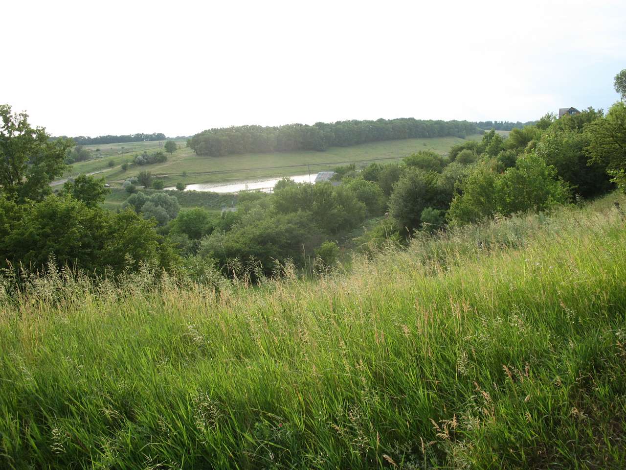 Н.Булатецькі картинки - Нижній Булатець