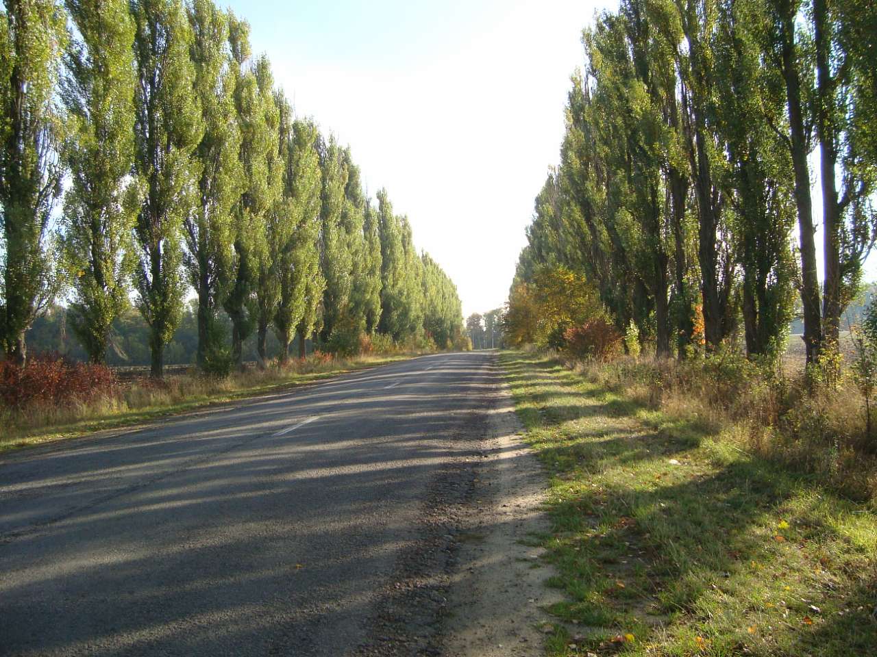 Заболотне - Заболотне