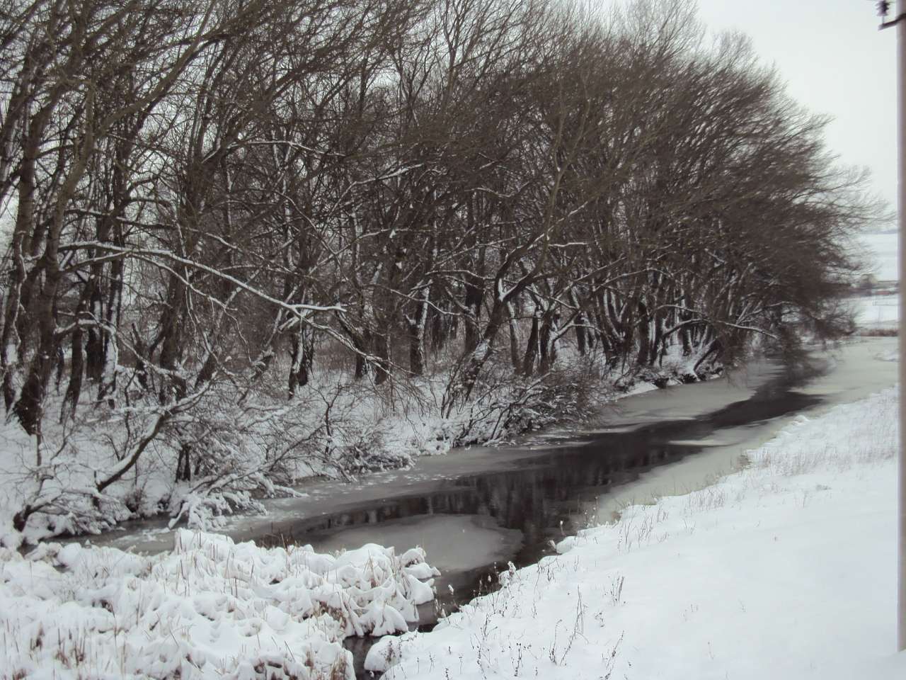 Сільські будні!!!! - Скосарівка