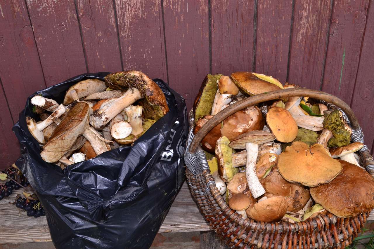 Турівка - Турівка