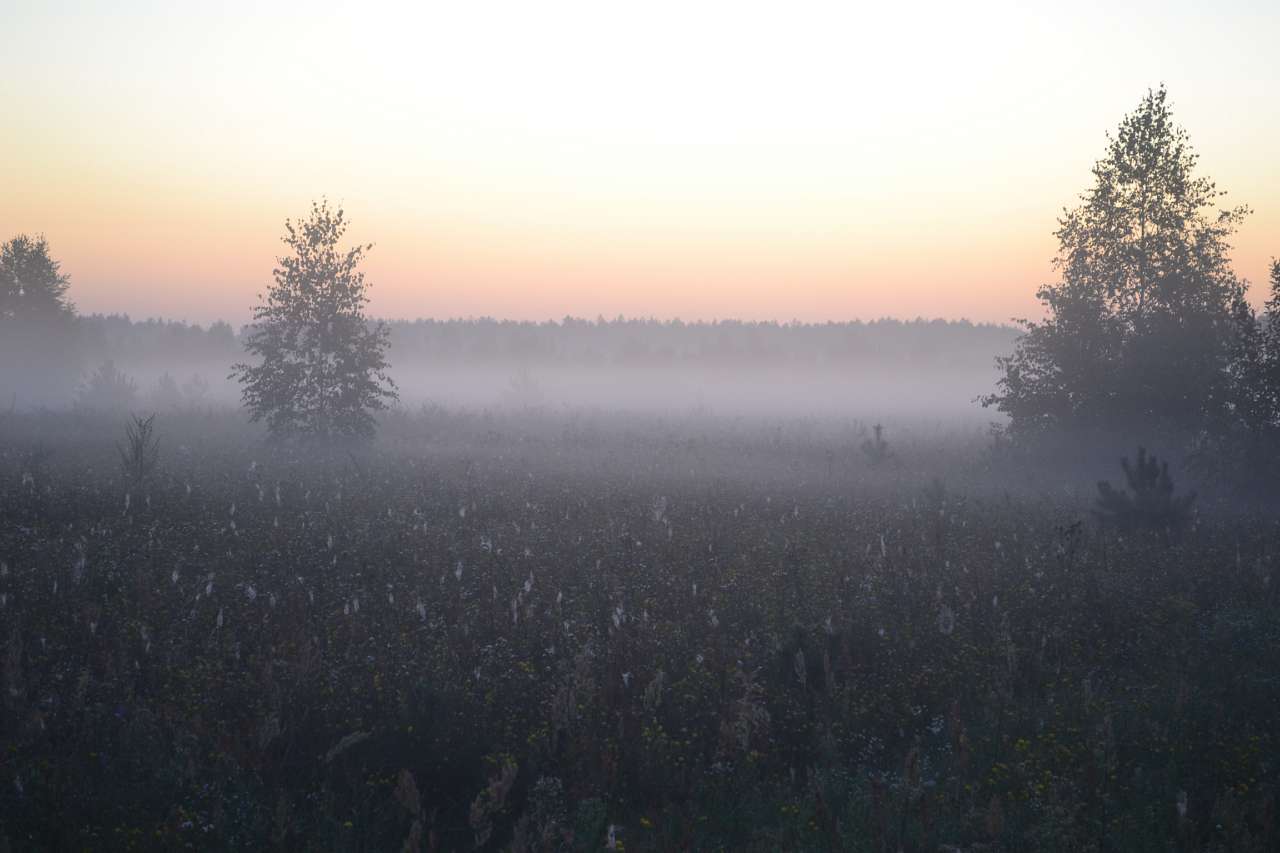 Турівка - Турівка