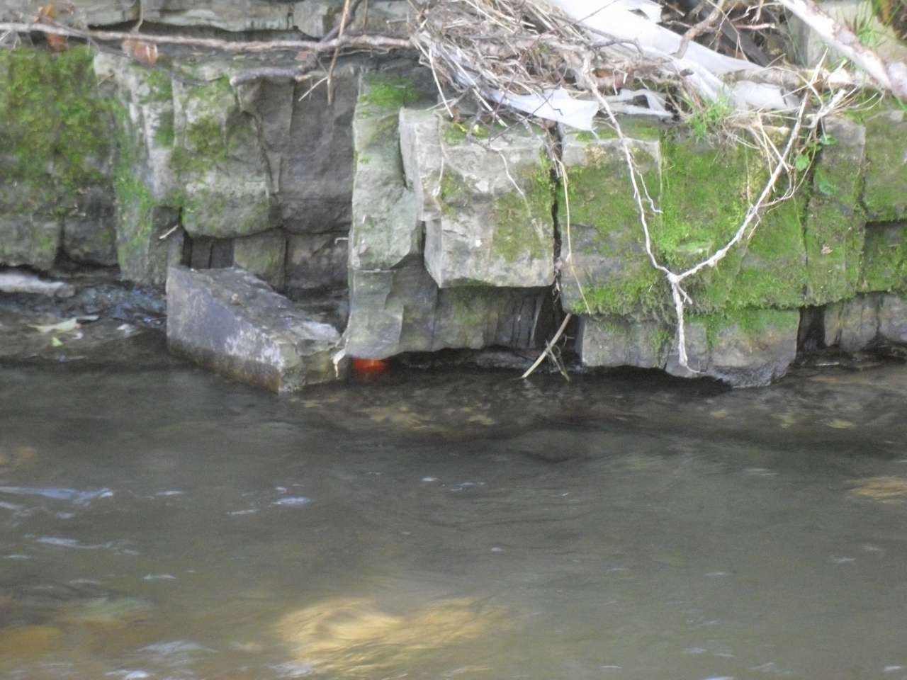 Чудові краєвиди Козаківки - Козаківка