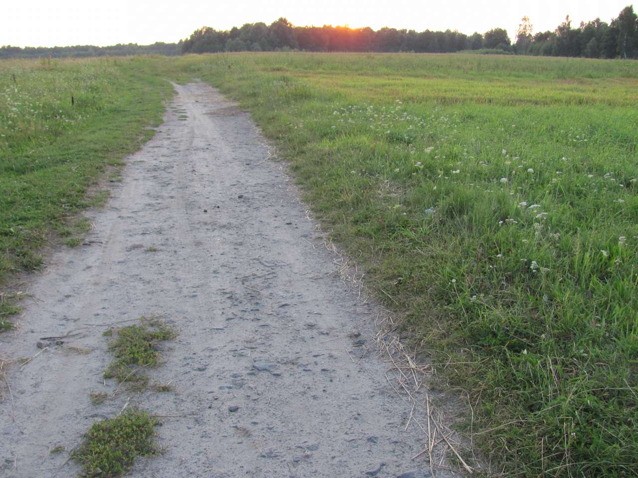 Рідне - Видерта