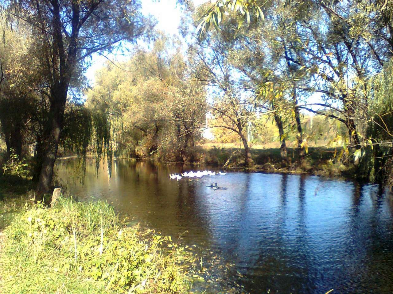 Мальовниче село В’язівок - В'язівок