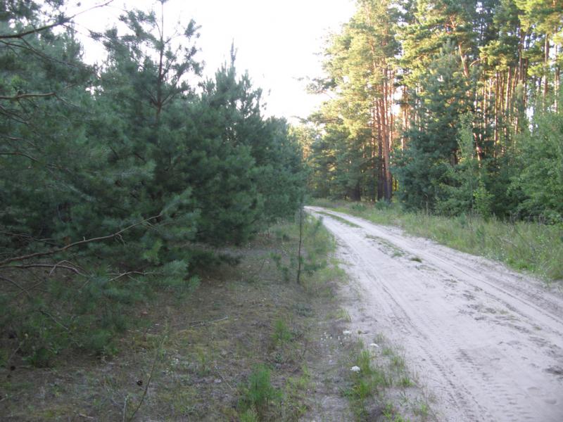 Польське село в Поліссі - Станіславівка