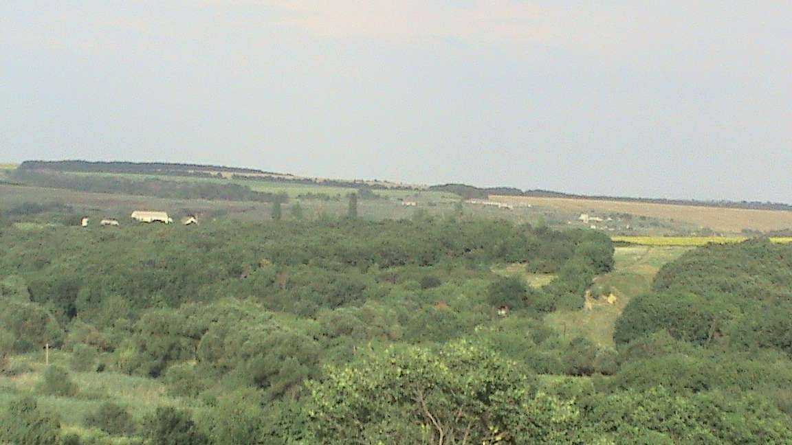 куземівка - Куземівка