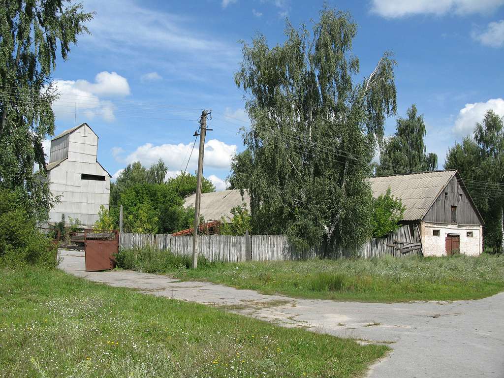 Ягодинка - Ягодинка