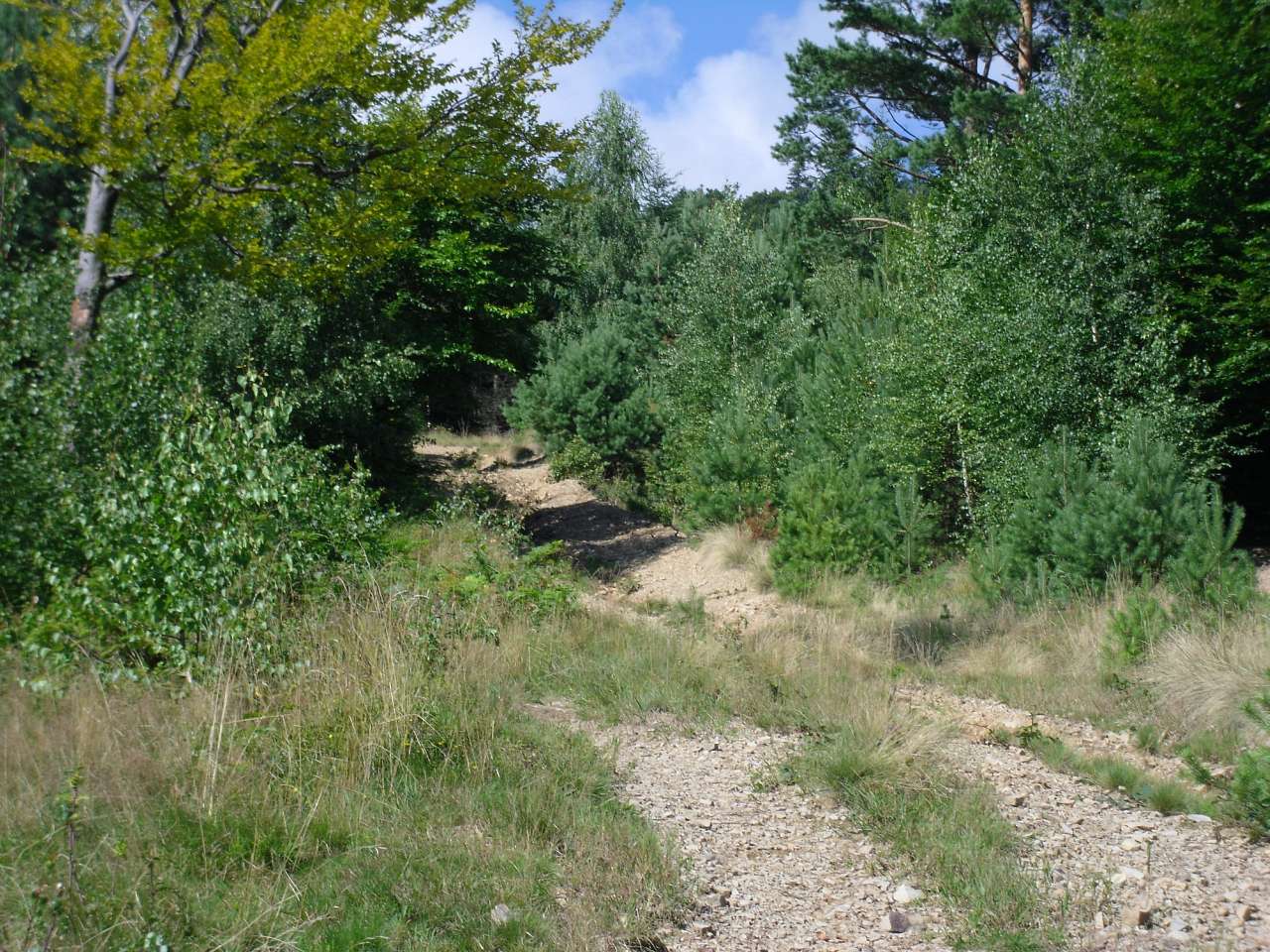 Чудові краєвиди Козаківки - Козаківка