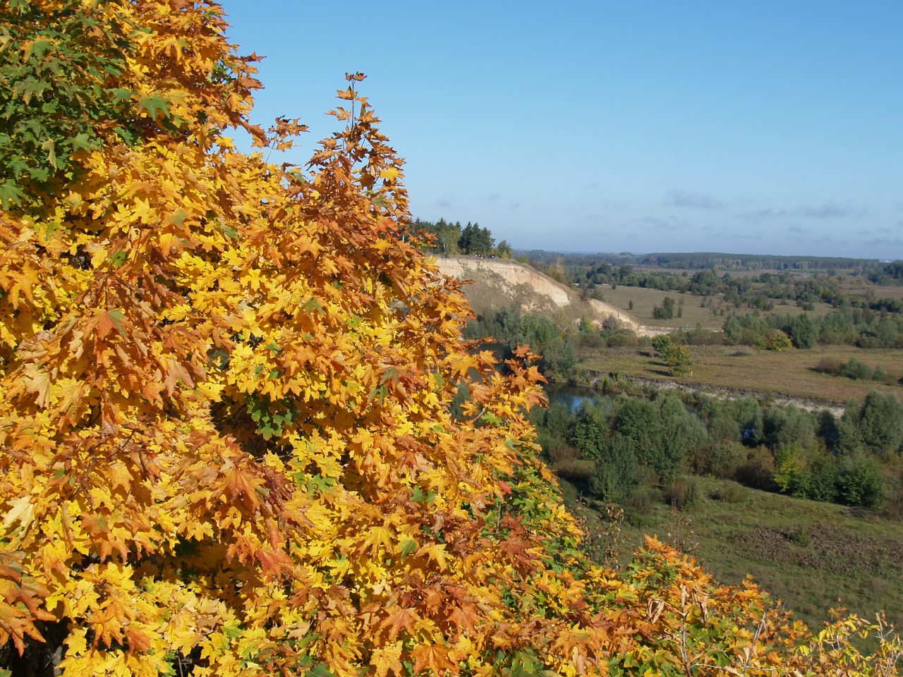 Мій рідний край, моє дитинство!.... - Клепали