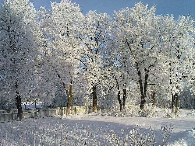 В’язівська школа - В'язівок