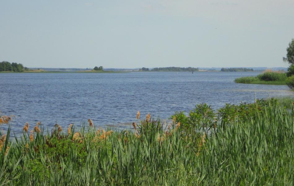 Барви Дніпра - Витачев