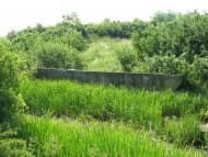 село Старе Давидково Мукачівського району