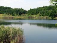 Кольчино - Шелестово - озеро на горі Тупча